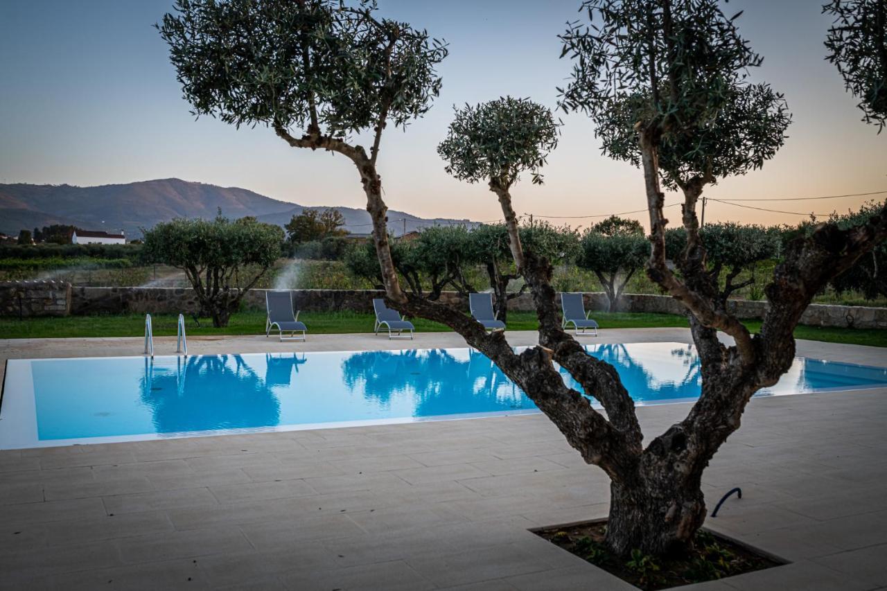 Quinta Das Oliveiras Turismo Rural Fundao Exterior photo