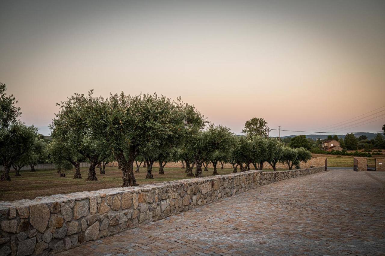 Quinta Das Oliveiras Turismo Rural Fundao Exterior photo